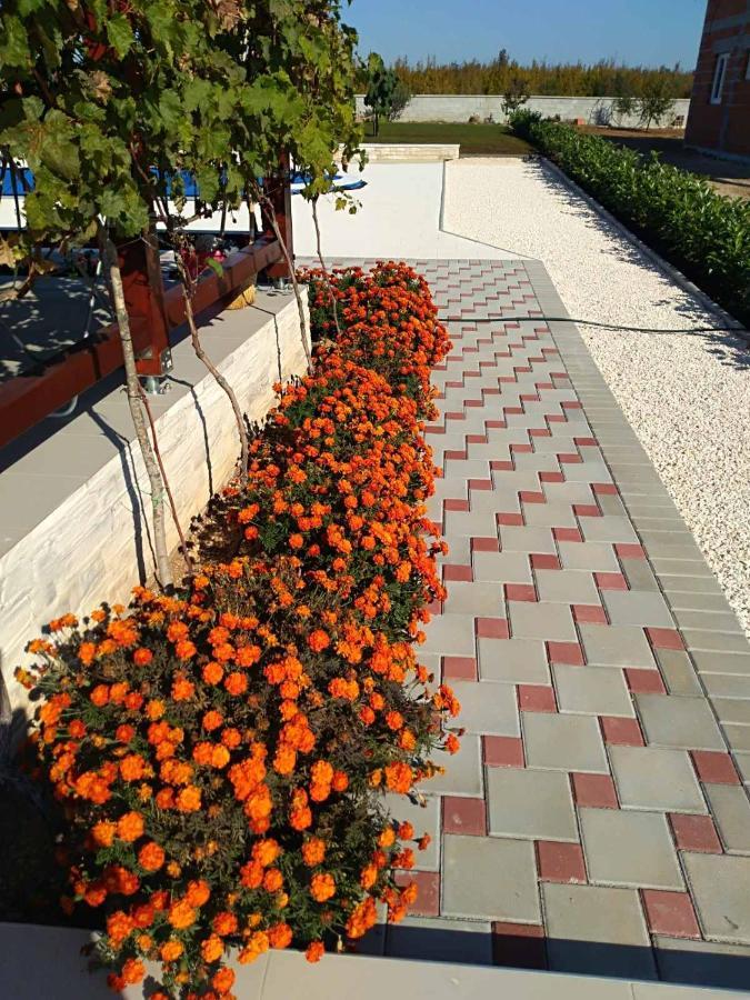 Villa Verbena Mala Cista Rom bilde